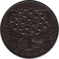 reverse of 1 Rouble - Spasy (2009) coin with KM# 325 from Belarus. Inscription: СПАСЫ