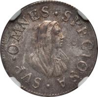 Italian States coin 1/2 Giulio / 1 Grosso - Cosimo III (1714 - 1737) reverse reverse of 1/2 Giulio / 1 Grosso - Cosimo III (1714 - 1737) coin with KM# 40 from Italian States. Inscription: SVP.OMNES.SPECIOSA.