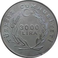 Turkey coin 3000 Lira - International Year of Disabled Persons (1981) reverse reverse of 3000 Lira - International Year of Disabled Persons (1981) coin with KM# 948 from Turkey. Inscription: TÜRKİYE CUMHURİYETİ 3000 LİRA