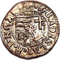 Hungary coin 1 Denar - Wladislas II (1498 - 1503) obverse obverse of 1 Denar - Wladislas II (1498 - 1503) coin with EH# 641 from Hungary. Inscription: M.WLADISLAI.R.VNGARIE.