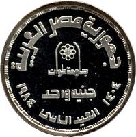 Egypt coin 1 Pound - Helwan University (1984) reverse reverse of 1 Pound - Helwan University (1984) coin with KM# 559 from Egypt.