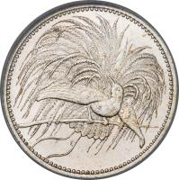 German New Guinea coin 1/2 Mark - Wilhelm II (1894) obverse obverse of 1/2 Mark - Wilhelm II (1894) coin with KM# 4 from German New Guinea.