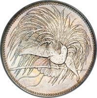 German New Guinea coin 1 Mark - Wilhelm II (1894) obverse obverse of 1 Mark - Wilhelm II (1894) coin with KM# 5 from German New Guinea.