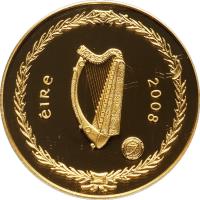 obverse of 100 Euro - International Polar Year (2008) coin with KM# 57 from Ireland. Inscription: éIRe 2008