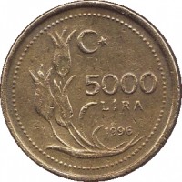 reverse of 5000 Lira (1995 - 2001) coin with KM# 1029 from Turkey. Inscription: 5000 LİRA 1996