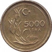 Turkey coin 5000 Lira (1995 - 2001) reverse reverse of 5000 Lira (1995 - 2001) coin with KM# 1029 from Turkey. Inscription: 5000 LİRA 1996