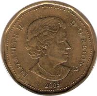obverse of 1 Dollar - Elizabeth II - Terry Fox (2005) coin with KM# 552 from Canada. Inscription: ELIZABETH II D · G · REGINA 2005