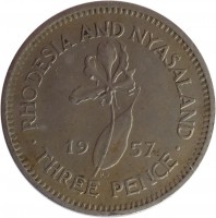 reverse of 3 Pence - Elizabeth II - 1'st Portrait (1955 - 1964) coin with KM# 3 from Rhodesia and Nyasaland. Inscription: RHODESIA AND NYASALAND 19 57 · THREE PENCE ·