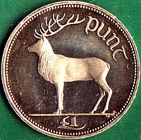 Ireland coin 1 Punt (1990 - 2000) reverse reverse of 1 Punt (1990 - 2000) coin with KM# 27 from Ireland. Inscription: £1 punt TR