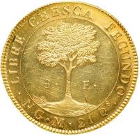 Central American Republic coin 8 Escudos (1824 - 1825) reverse reverse of 8 Escudos (1824 - 1825) coin with KM# 8 from Central American Republic.