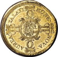 German States coin 1/2 Carolin - Karl Philipp - Trade Coinage (1733 - 1736) reverse reverse of 1/2 Carolin - Karl Philipp - Trade Coinage (1733 - 1736) coin with KM# 251 from German States.