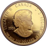 Canada coin 350 Dollars - Elizabeth II - Pitcher Plant (2009) obverse obverse of 350 Dollars - Elizabeth II - Pitcher Plant (2009) coin with KM# 901 from Canada. Inscription: ELIZABETH II CANADA D · G · REGINA 2009 .99999 FINE GOLD 350 DOLLARS OR PUR