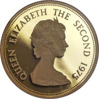 Mauritius coin 1000 Rupees - Elizabeth II - Mauritius Flycatcher - 2'nd Portrait (1975) obverse obverse of 1000 Rupees - Elizabeth II - Mauritius Flycatcher - 2'nd Portrait (1975) coin with KM# 42 from Mauritius. Inscription: QUEEN ELIZABETH THE SECOND 1975