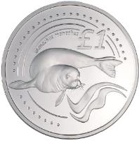 reverse of 1 Pound - Mediterranean Monk Seal (2005) coin with KM# 76 from Cyprus. Inscription: £1 MONACHUS MONACHUS