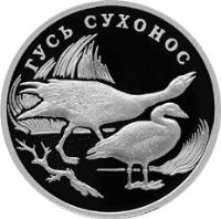 reverse of 1 Rouble - Red Data Book: Swan Goose (2006) coin with Y# 1058 from Russia. Inscription: ГУСЬ СУХОНОС