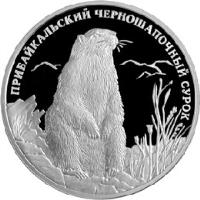 reverse of 2 Roubles - Red Data Book: Pribaikalsky Black-capped Marmot (2008) coin with Y# 979 from Russia. Inscription: ПРИБАЙКАЛЬСКИЙ ЧЕРНОШАПОЧНЫЙ СУРОК