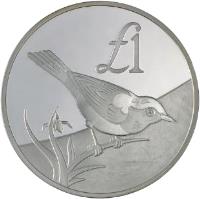 reverse of 1 Pound - Cyprus Bird (2000) coin with KM# 91 from Cyprus. Inscription: £1