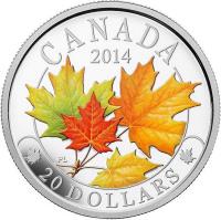 Canada coin 20 Dollars - Elizabeth II - Maple Leaf (2014) reverse reverse of 20 Dollars - Elizabeth II - Maple Leaf (2014) coin with KM# 1925 from Canada. Inscription: CANADA 2014 PL 20 DOLLARS