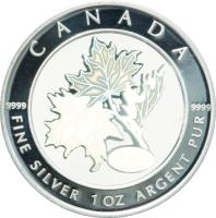 Canada coin 5 Dollars - Elizabeth II - Good Fortune (2003) reverse reverse of 5 Dollars - Elizabeth II - Good Fortune (2003) coin from Canada. Inscription: Canada Fine Silver 1oz Argent Pur 9999