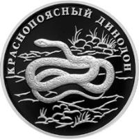 reverse of 1 Rouble - Red Data Book: Red-banded snake (2007) coin with Y# 961 from Russia. Inscription: КРАСНОПОЯСНЫЙ ДИНОДОН