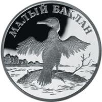 reverse of 1 Rouble - Red Data Book: The Small Cormorant (2003) coin with Y# 816 from Russia. Inscription: МАЛЫЙ БАКЛАН