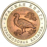 reverse of 10 Rubles - Red Book: Red-Breasted Goose (1992) coin with Y# 307 from Russia. Inscription: КРАСНАЯ КНИГА КРАСНОЗОБАЯ КАЗАРКА