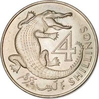 Gambia coin 4 Shillings - Elizabeth II - 2'nd Portrait (1966) reverse reverse of 4 Shillings - Elizabeth II - 2'nd Portrait (1966) coin with KM# 6 from Gambia. Inscription: 4 SHILLINGS ـٍ لس ـٌ رم