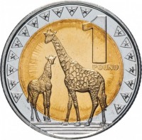 South Sudan coin 1 Pound (2015) reverse reverse of 1 Pound (2015) coin with KM# 4 from South Sudan. Inscription: 1 POUND