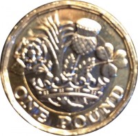 reverse of 1 Pound - Elizabeth II - 5'th Portrait (2016 - 2017) coin from United Kingdom. Inscription: ONE POUND