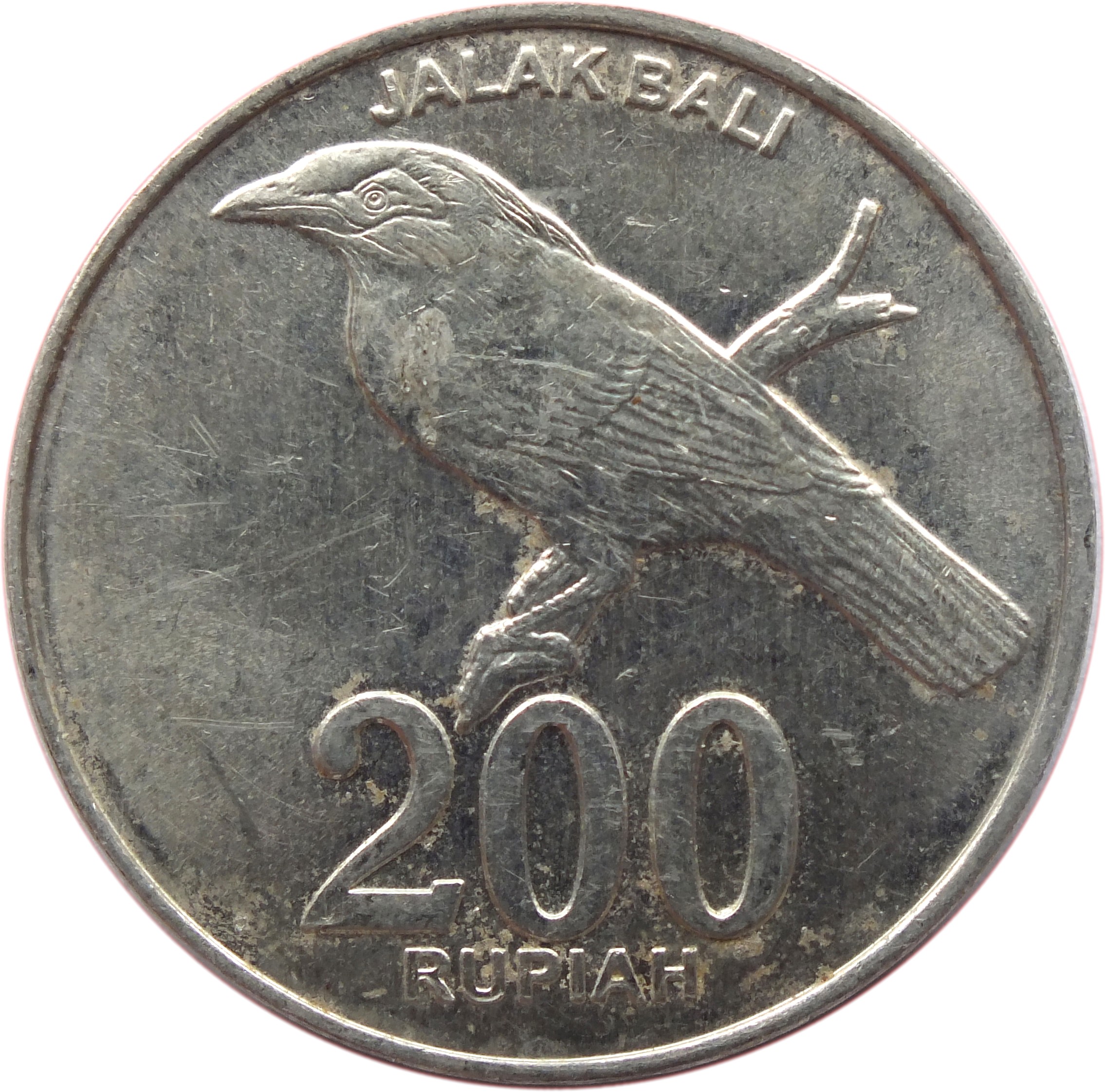 Рупий бали рубль. Монета Jalak Bali 200 rupian. Индонезия 200 Rupiah 2003. 200 Рупий. 200 Рупий монета.