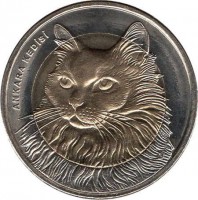 obverse of 1 Lira - Fauna: Turkish Angora Cat (2010) coin with KM# 1279 from Turkey. Inscription: ANKARA KEDİSİ
