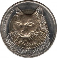 Turkey coin 1 Lira - Fauna: Turkish Angora Cat (2010) obverse obverse of 1 Lira - Fauna: Turkish Angora Cat (2010) coin with KM# 1279 from Turkey. Inscription: ANKARA KEDİSİ
