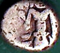 India coin 1 Fanam obverse obverse of 1 Fanam coin from India.