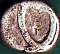 India coin 1 Fanam reverse reverse of 1 Fanam coin from India.