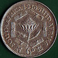 reverse of 6 Pence - George VI (1948 - 1950) coin with KM# 36.1 from South Africa. Inscription: SOUTH AFRICA 1949 SUID AFRIKA KG 6D