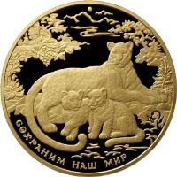 reverse of 10000 Roubles - Caucasian Leopard (2011) coin from Russia. Inscription: СОХРАНИМ НАШ МИР