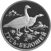 Russia coin 1 Rouble - Emperor Goose (1998) reverse reverse of 1 Rouble - Emperor Goose (1998) coin with Y# 630 from Russia. Inscription: ГУСЬ · БЕЛОШЕЙ