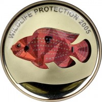 WILDLIFE PROTECTION 2005.