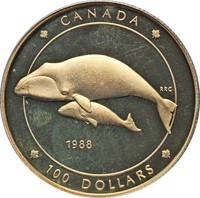 Canada coin 100 Dollars - Elizabeth II - Bowhead Whale (1988) reverse reverse of 100 Dollars - Elizabeth II - Bowhead Whale (1988) coin with KM# 162 from Canada. Inscription: CANADA 1988 RRC 100 DOLLARS