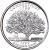 reverse of 1/4 Dollar - Connecticut - Washington Quarter (1999) coin with KM# 297 from United States. Inscription: CONNECTICUT 1788 THE CHARTER OAK 1999 E PLURIBUS UNUM TJV