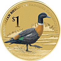 reverse of 1 Dollar - Elizabeth II - Australian Shelduck (2013) coin from Tuvalu. Inscription: AUSTRALIAN SHELDUCK TADORNA TADORNOIDES $1