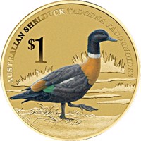 Tuvalu coin 1 Dollar - Elizabeth II - Australian Shelduck (2013) reverse reverse of 1 Dollar - Elizabeth II - Australian Shelduck (2013) coin from Tuvalu. Inscription: AUSTRALIAN SHELDUCK TADORNA TADORNOIDES $1