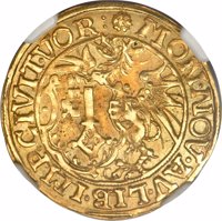 German States coin 1 Goldgulden (1616 - 1622) obverse obverse of 1 Goldgulden (1616 - 1622) coin with KM# 49 from German States. Inscription: *MON·NOV·AV·LIB·IMP·CIVIT·VOR: