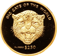 reverse of 250 Dollars - Cheetah (2001) coin from Sierra Leone. Inscription: BIG CATS OF THE WORLD Au.999·9 $250