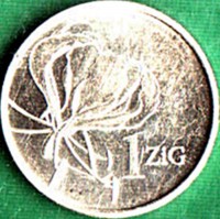 Nickel plated Steel coin Zimbabwe 1 ZiG.