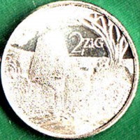 Nickel plated Steel coin Zimbabwe 2 ZiG.