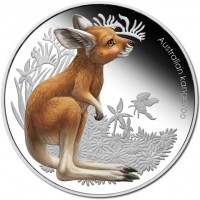 Australian Kangaroo. P. EM.