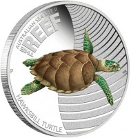 AUSTRALIAN SEA LIFE. THE. REEF. P WR. HAWKSBILL TURTLE.