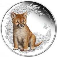 Australian Dingo. P. EM.