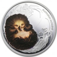 Australian Echidna. P. EM.